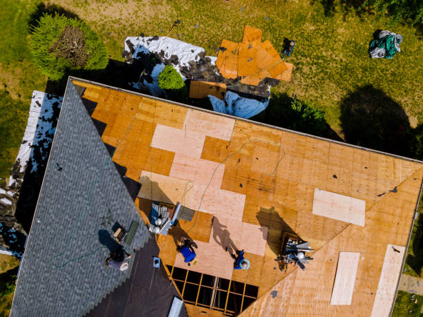 Best Gutter Installation and Roofing  in Wallace, FL
